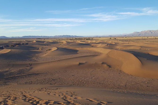 2 Days 1 Night Desert Tour from Marrakech to the desert of Tinfou Zagora - Draa Valley palms: the breathing space between stops