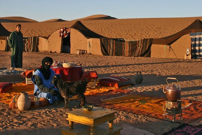 2 Days / 1 Night Excursion to Zagora (Desert) from Marrakech - Meals and timing: what to expect from dinner, breakfast, and lunch gaps