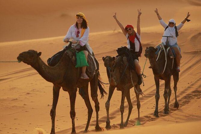 2 Days, 1 Night Luxury Desert Trip (Fes to Fes Or Marrakech) - First Morning Pickup in Fez: Fast Start, Long Day