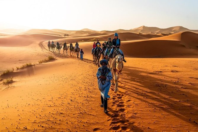 2 Days 1 Night Private Desert Trip from Fes to Merzouga - Fez to Merzouga in Two Days: What the Rhythm Really Feels Like