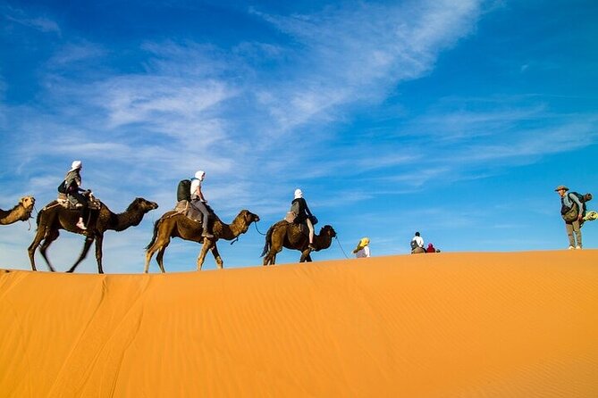 2 Days/1 Night Sahara Desert Trip: Fes - Merzouga - Marrakech - Day 1: Fes to Merzouga, with Atlas views and monkey stops