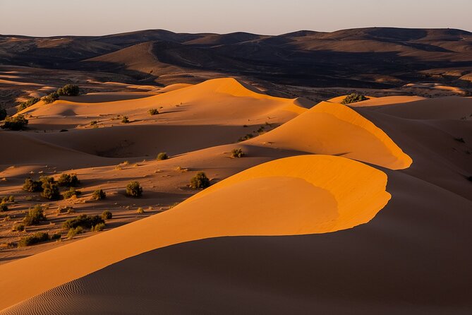 2 Days/1 Night Sahara Desert Trip: Fes - Merzouga - Marrakech - Day 2: sunrise, breakfast, rose water, and a big mountain pass