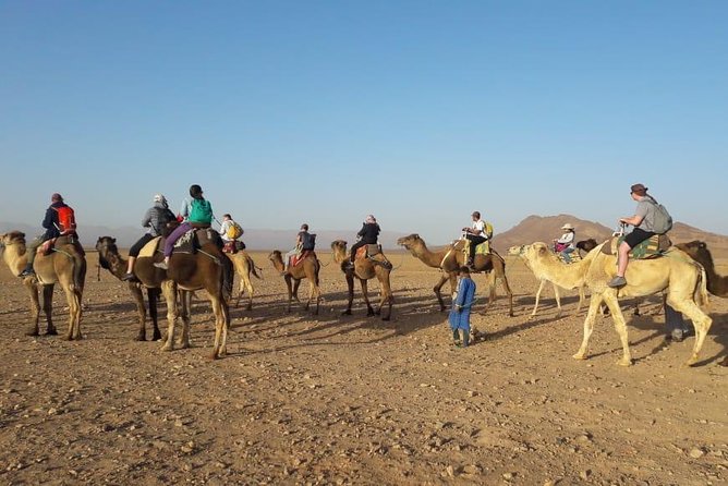 2 Days 1 Night To Zagora Desert From Marrakech - Price and Logistics: Around $99 and What That Really Covers