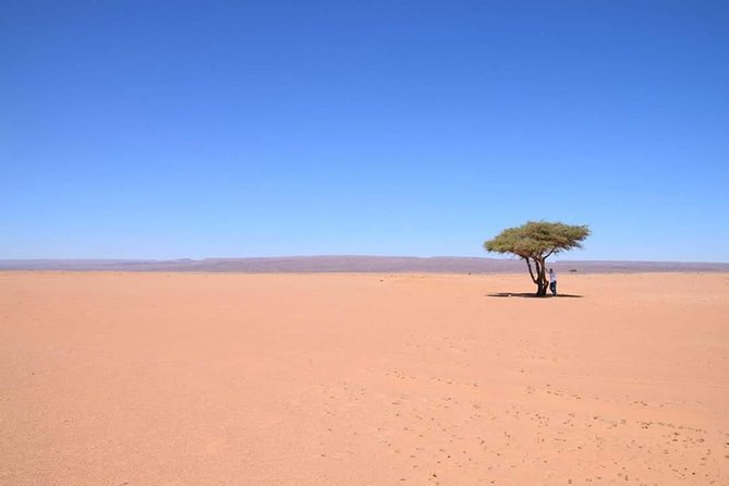 2 Days/1 Night Tour From Mhamid to Erg Chigaga - Who this tour suits best (and who might want to tweak expectations)