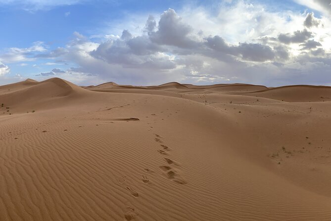 2 Days/1 Night Tour From Mhamid to Erg Chigaga - The 4x4 off-road drive: Erg, Reg, Hammada, and an oasis stop