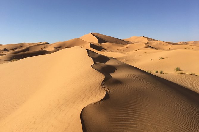 2 Days and 1 Night Luxury Desert Tour from Marrakech to Zagora - Price and Logistics: What $232.38 Covers (and What Doesn’t)