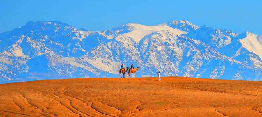 2 Days Desert Agafay and Atlas Mountains Trek From Marrakech - Who should book this Atlas + Agafay combo