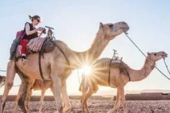 2 Days Desert Tour From Marrakech To Zagora And Camel Trek - Zagora arrival: palm groves, Kasbah valleys, and the first camel ride