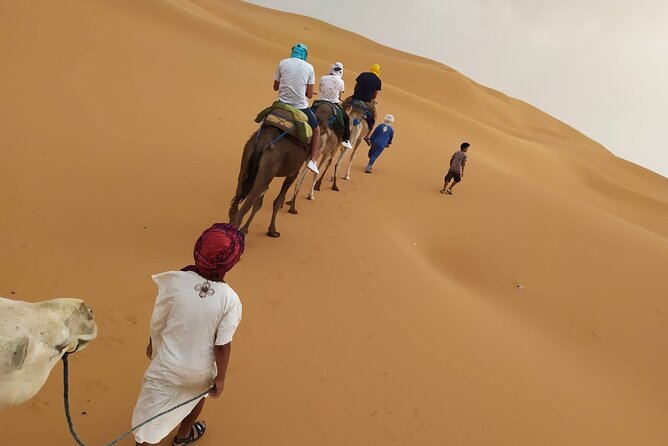 2-Days Desert Tours from Fes with Overnight in Luxury Camp - Day 1 from Fes: Ifrane, Azrou monkeys, Midelt fossils, Errachidia oasis views