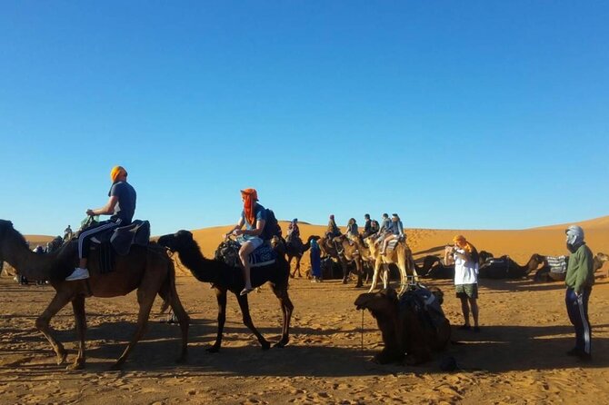 2 Days Desert Trip Back To Fes/ Or Marrakech - Cost, Group Size, and Those Long Road Hours