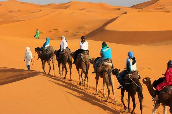 2 Days Desert Trip Back To Fes/ Or Marrakech - Day 1 From Fez: Medina, Ifrane, Azrou Cedar Forest, Midelt, Then Merzouga