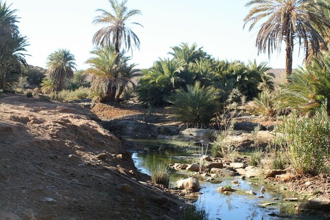 2 Days El Borj Desert Tour from Agadir - The Desert Night Part: Camel Sand Dunes and Dinner Under the Open Sky