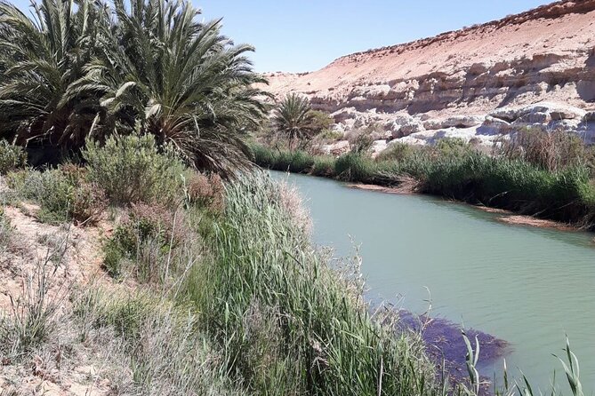 2 Days El Borj Desert Tour from Agadir - Day Two’s Oasis Logic: Tighmert, Dam Lunch, and the Return to Agadir