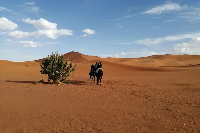 2 Days Fes Desert trip Overnight Erg chebbi End up Fes/Marrakech - Price and value: what $139.58 buys you (and what it does not)