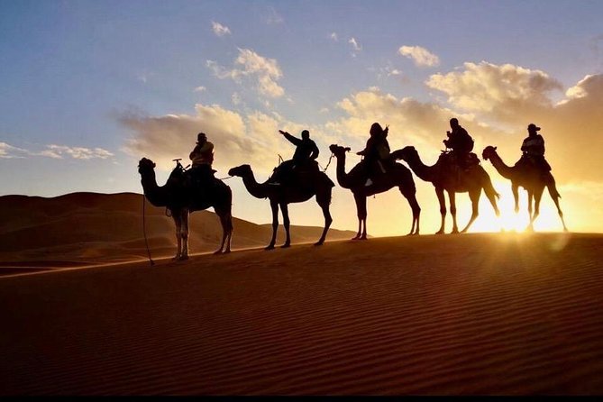 2 Days luxury desert tour from Fes - Day 1 from Fez: Ifrane and Azrou before the desert