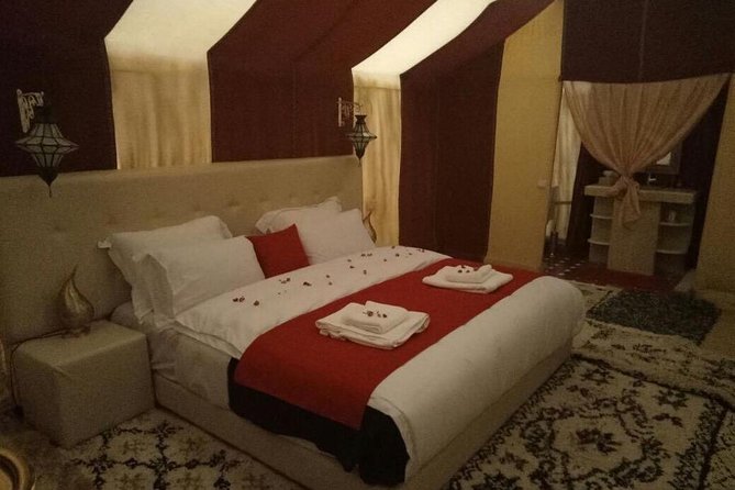 2 Days luxury desert tour from Fes - Ifrane National Park and cedar-forest macaques: a surprising contrast