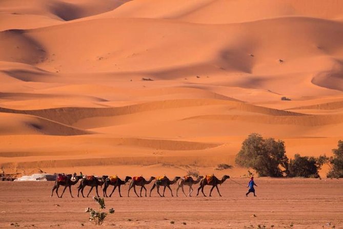 2 Days luxury desert tour from Fes - Midelt and Errachidia: the road stops that keep the trip grounded
