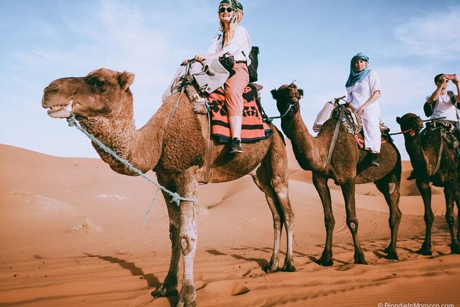 2 days luxury desert trip [fes to fes or marakech] - Day 1: From Fes to the Atlas Mountains, then on to Merzouga