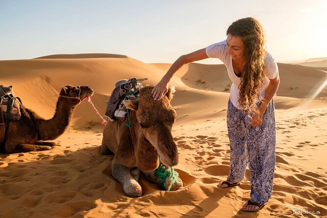 2 days luxury desert trip [fes to fes or marakech] - Your camp stay: private tent, attached bathroom, and dinner expectations