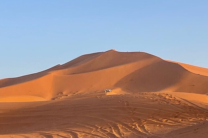 2 Days Luxury Magic Morocco Desert Tour From Fes To Fes - Azrou Cedar Forest: Barbary Macaques and Mountain Fresh Air