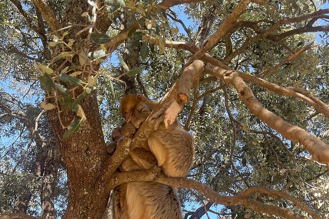 2 Days Luxury Magic Morocco Desert Tour From Fes To Fes - What “Luxury Desert Camp” Means in Practical Terms