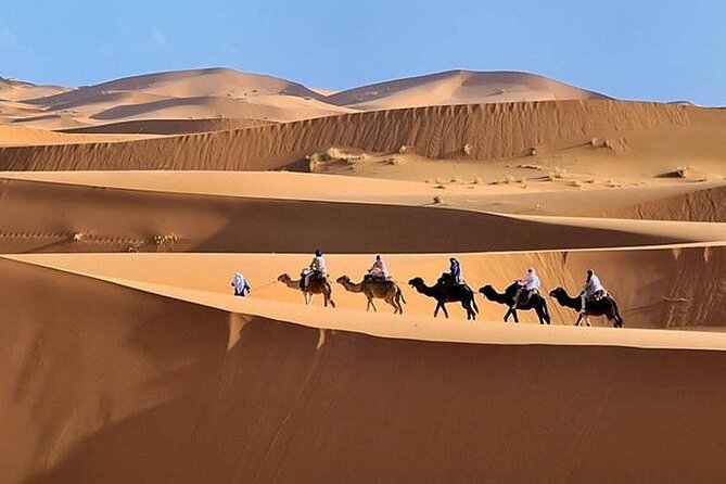 2 Days Luxury Tour to Merzouga Desert from Fez with Small Group - Key Highlights You’ll Actually Feel