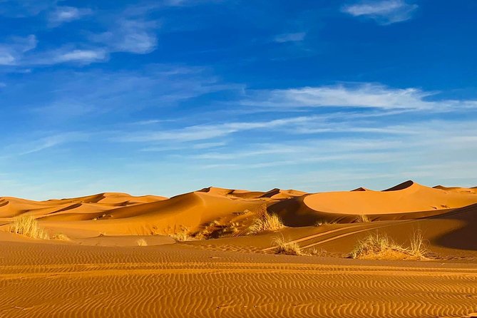 2-Days Merzouga tour from Errachidia - The Camel Ride: Fun Views With Real Comfort Tradeoffs