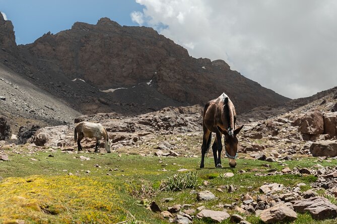 2 days on the Toubkal Express - What to bring (and what to avoid) for a 2-day Toubkal push