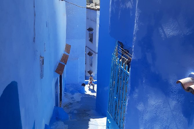 2 days private tour from Casablanca to chefchaouen - Private Vehicle Comfort on the Casablanca to Chefchaouen Route