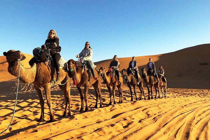 2 Days To Marrakech From Merzouga - Price and Value: Is $110.38 Fair for This Route?