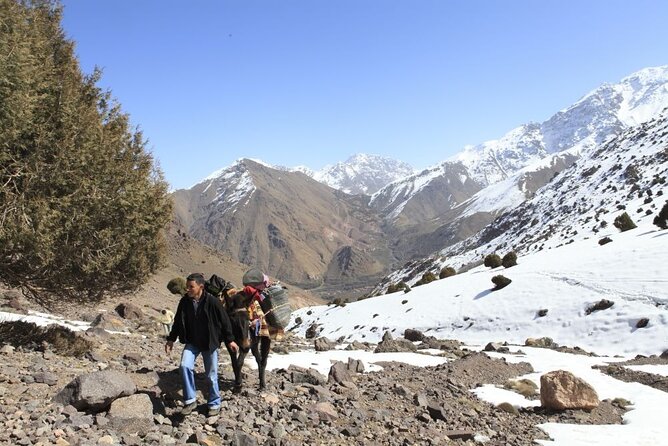 2-Days Toubkal Trek from Marrakech with Local Guide - Key things about this Toubkal trek (read this before you book)