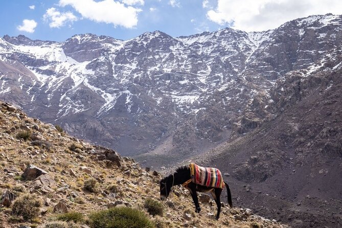 2-Days Toubkal Trek from Marrakech with Local Guide - Tea in Imlil, then the Berber village walk through Aremd