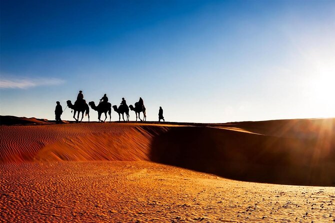 2 Days Tour To Zagora & Daraa Valley Night in The Tent - Key things I’d plan around before you go
