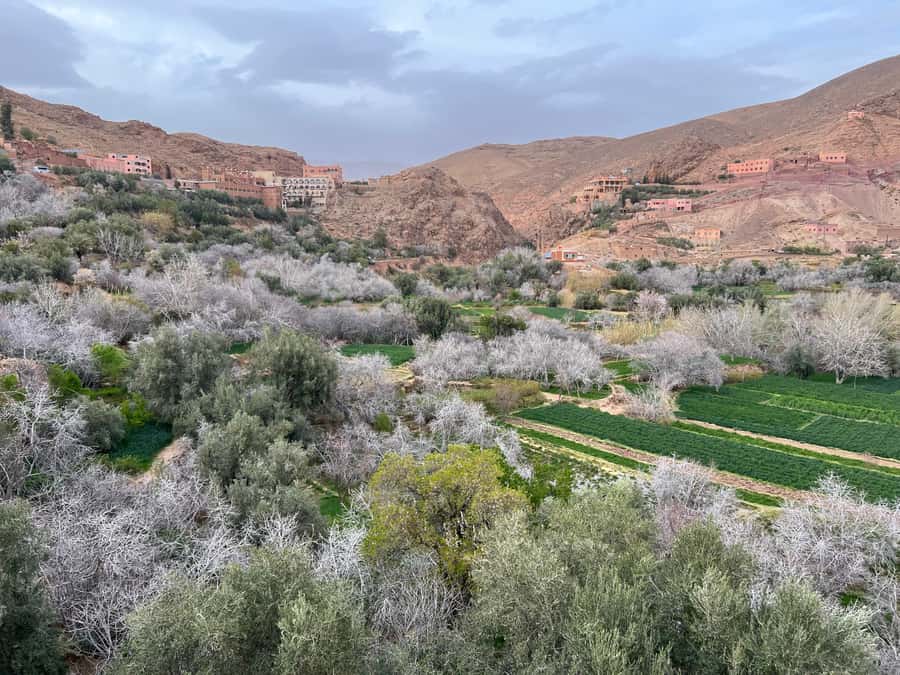 2 Days Trip From Marrakech To Ouarzazate & Dades Valley - FAQ