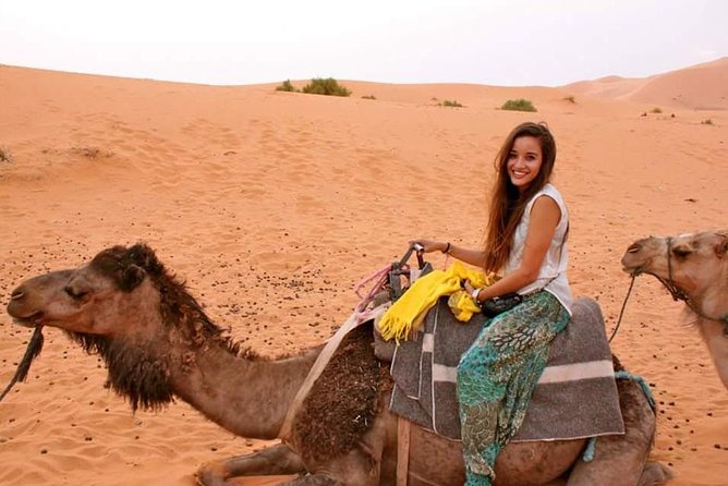 2 Days trip in a small group from FEZ to FEZ passing by MERZOUGA - Azrou’s cedar forest and the monkeys of the valley