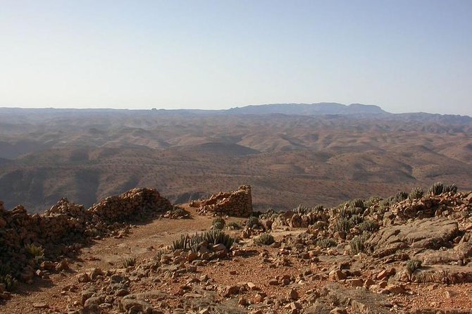 2 Days trip in a small group from FEZ to FEZ passing by MERZOUGA - Midelt and lunch that actually fuels the drive