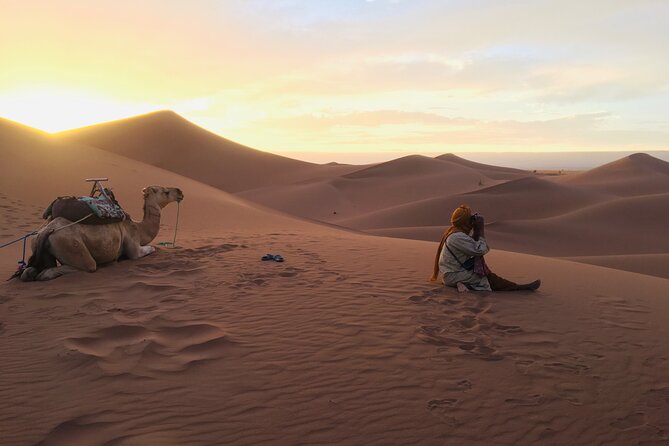 2 Days trip to erg chigaga and spend night at the luxury Camp - Taliouine and saffron tea before the dunes