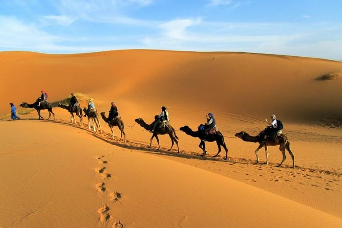 2 Days Zagora Desert Tour from Marrakech, Including Camel Trek and Desert Camp - Key Points Before You Go