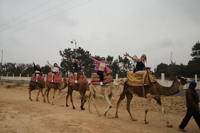 2 Hours Agadir Camel Riding Tour - Key points at a glance
