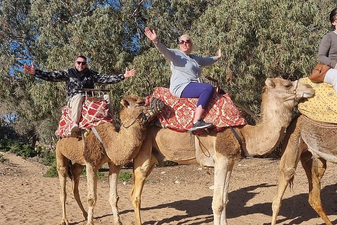 2 Hours Agadir Camel Riding Tour - Getting there smoothly: pickup, vehicle comfort, and who you might meet