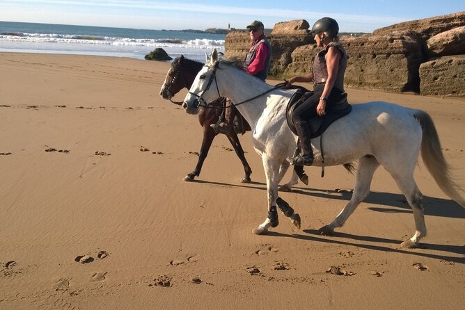 2 hours horse ride beach and dunes in Essaouira Morocco - Price and value at about $51: what you get for the money