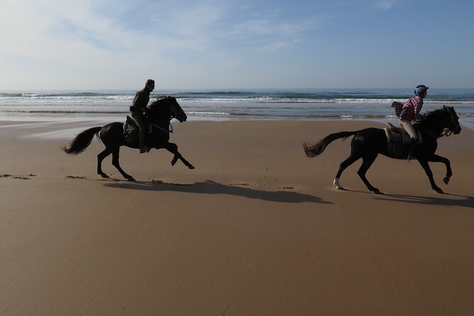 2 hours horse ride beach and dunes in Essaouira Morocco - Safety at the ranch: helmet, briefing, and a guide you can ask