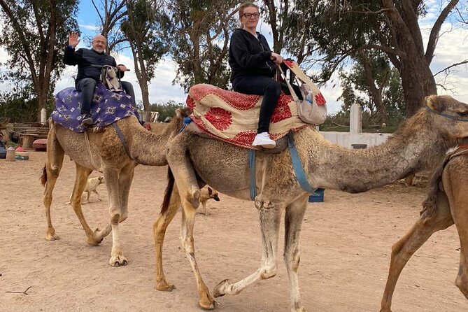 2 Hours Private Camel Ride in Agadir - The 2-Hour Private Ride: Eucalyptus Trees and the Souss River
