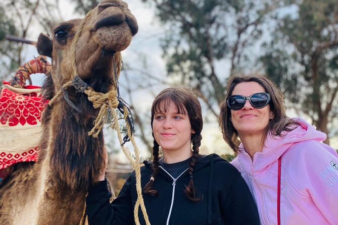 2 Hours Private Camel Ride in Agadir - Comfort, Safety, and What to Bring