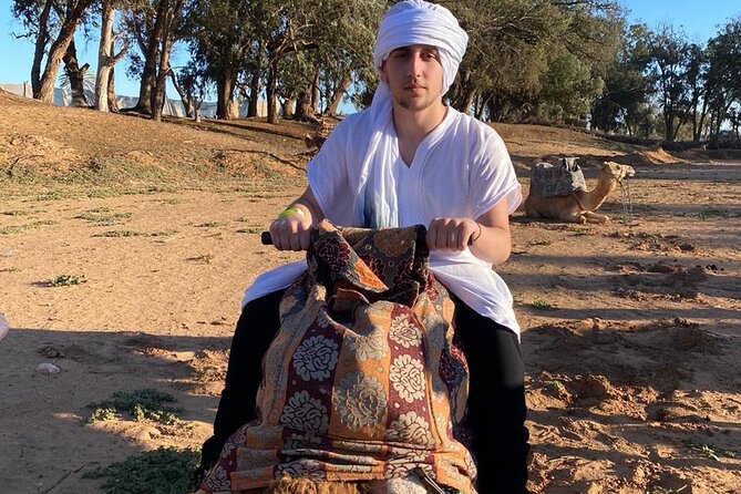 2 Hours Private Camel Ride in Agadir - From Your Hotel to the Ranch Near the King’s Palace