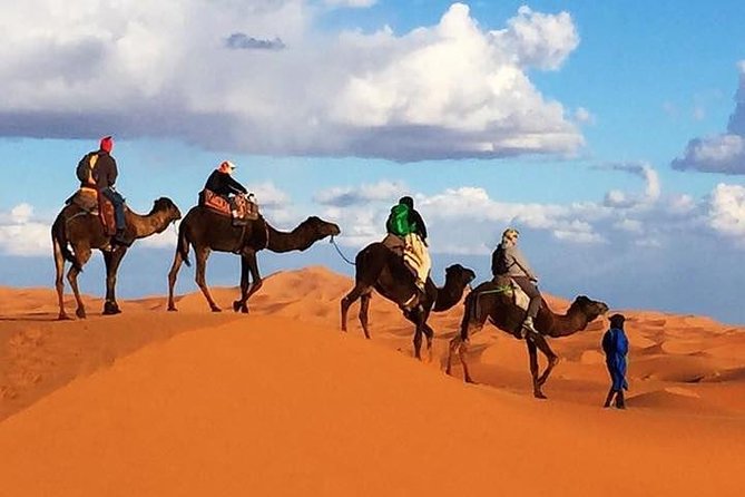 2 night camel trekking in merzouga desert - Key highlights worth marking on your map