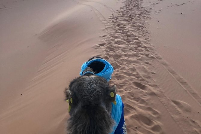 2 night camel trekking in merzouga desert - Day 1 in Merzouga: sunset ride, dinner in camp, and fire-side Berber music