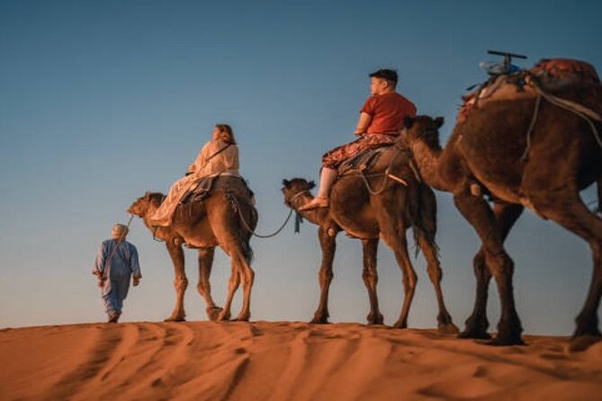 2 Nights in Luxury Camp and Camel Trekking in Merzouga Desert - Price and value: what $168.66 covers (and what it doesn’t)