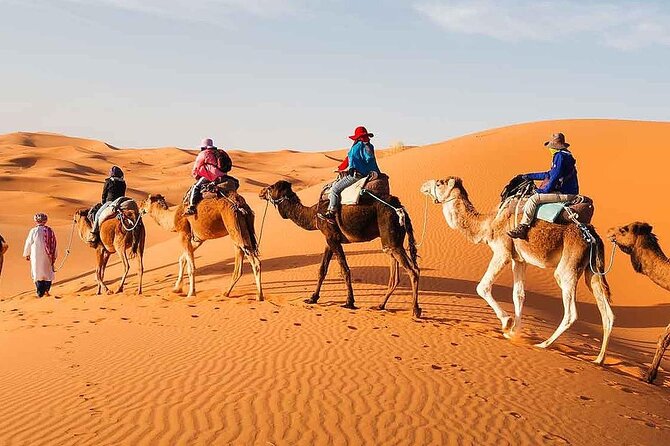 2Days Share Tour From Fes To Marrakech Or Fes Via Sahara & camel - Price and what you truly get for $139.58