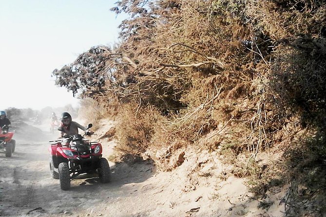 2h quad bike on the beach and in the dunes - Through the forest tracks: quieter driving with more local atmosphere